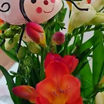Homestay szállás Lienka Nová Lesná