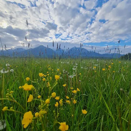 Alloggio in famiglia Lienka