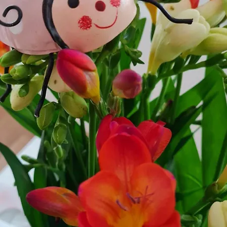 Alloggio in famiglia Lienka Nová Lesná