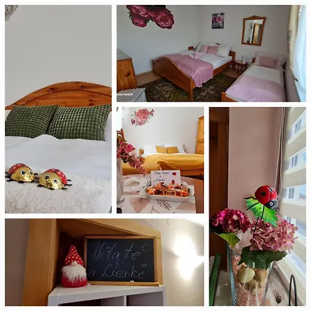 Lienka * Nová Lesná